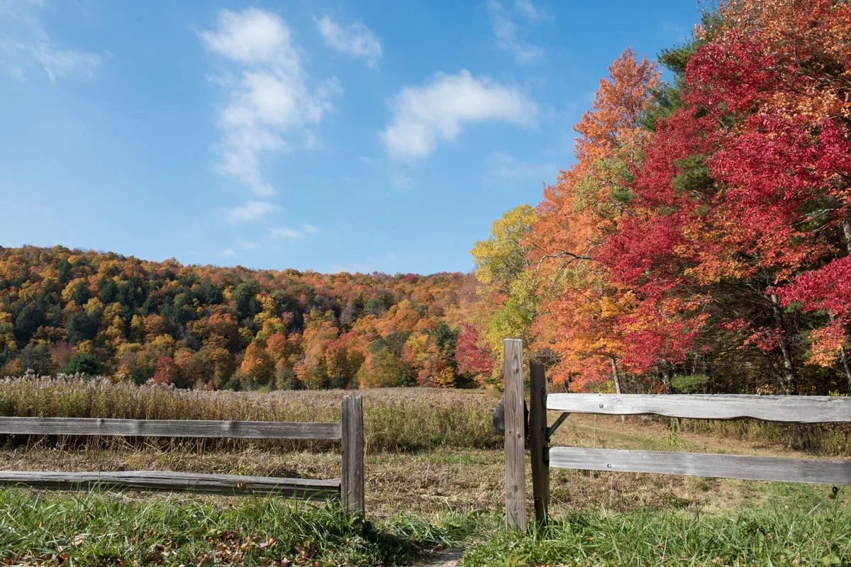 Steadman Pond in Monterey, MA | Photo Credit: ©Find. Eat. Drink.