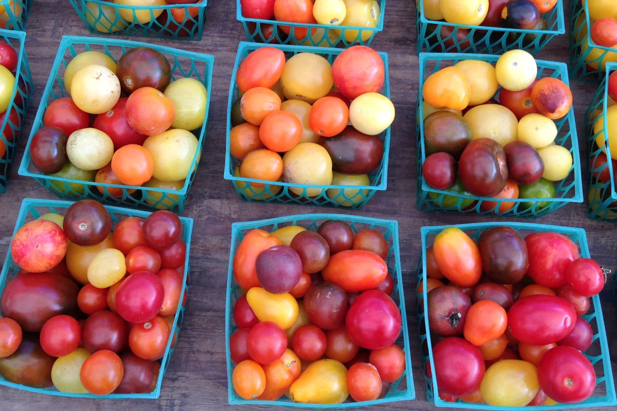 Union Square Greenmarket | Photo Credit: ©Find. Eat. Drink.
