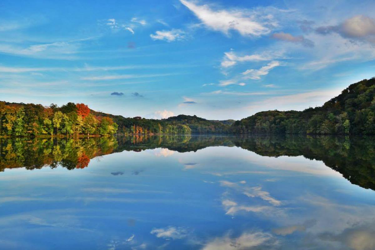 Photograph courtesy of Friends of Radnor Lake