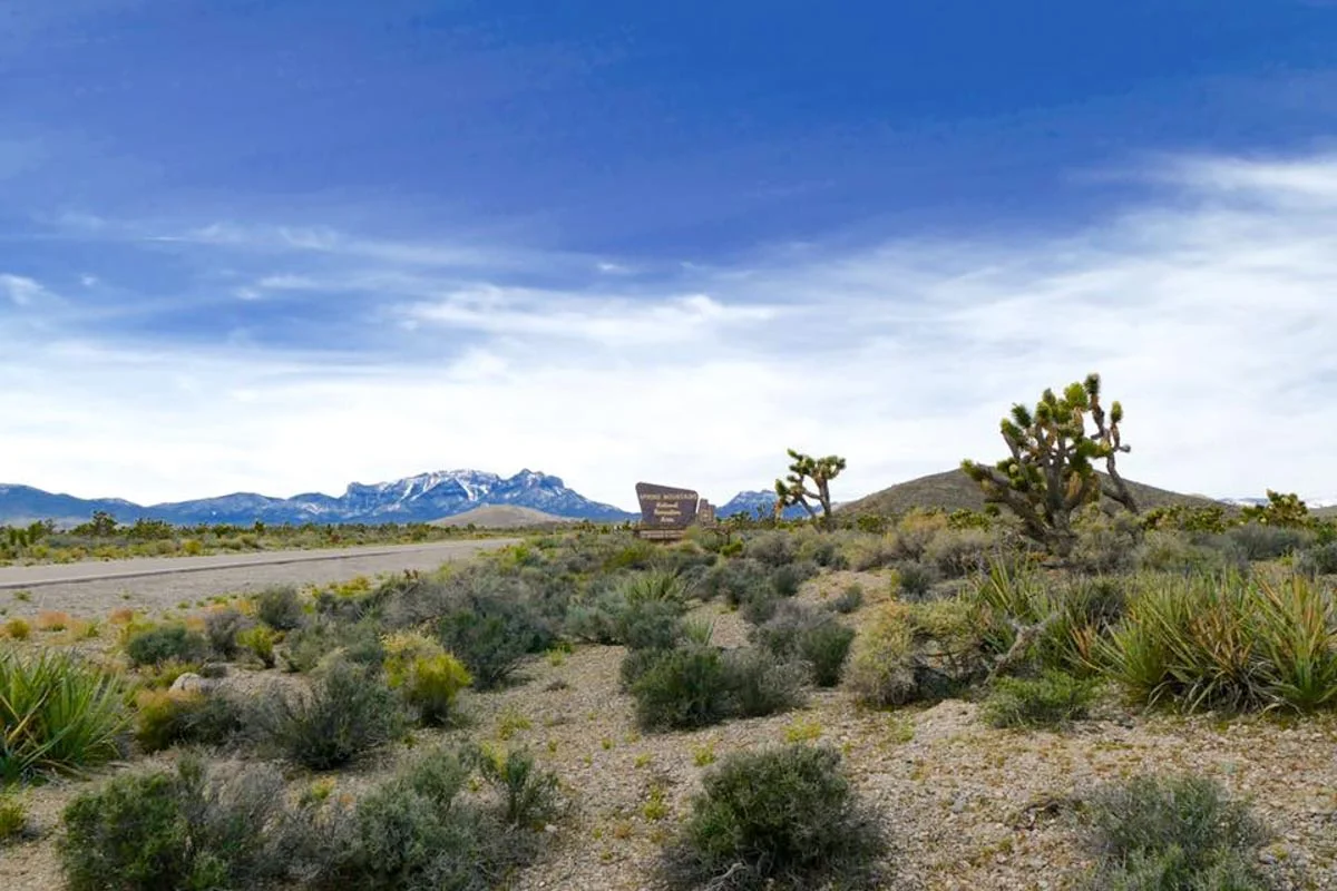 Photograph courtesy of Go Mt Charlteson