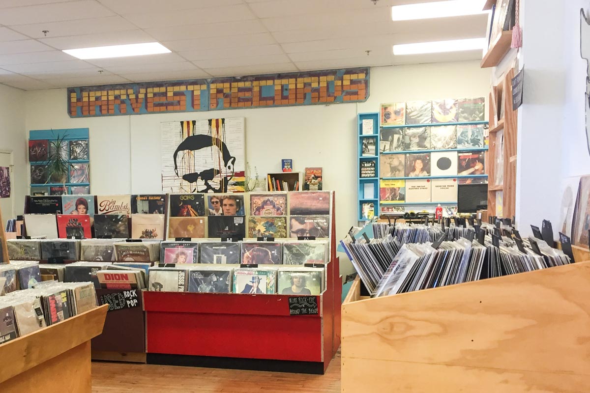 Vinyl bins at Harvest Records | Photo Credit: ©Find. Eat. Drink.