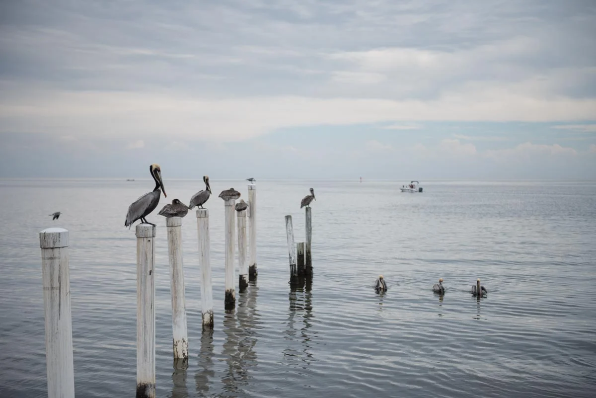 Cedar Key | Photo Credit: ©Find. Eat. Drink.