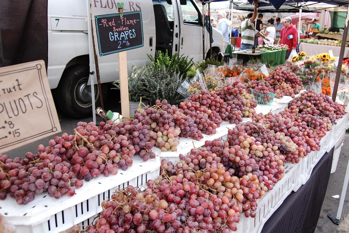 Photograph courtesy of La Jolla Open Aire Market