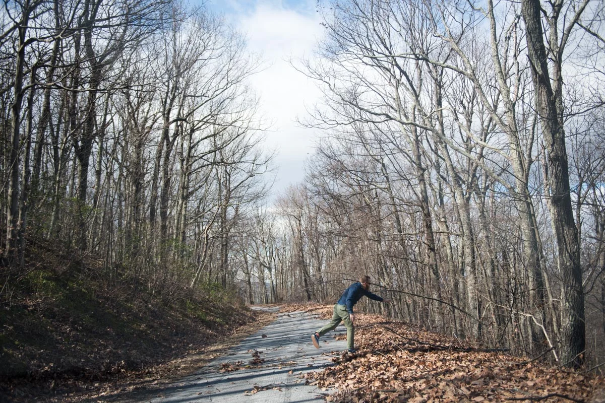 Clearing Tree Branches along Virginia's Route 610 | Photo Credit: ©Find. Eat. Drink.