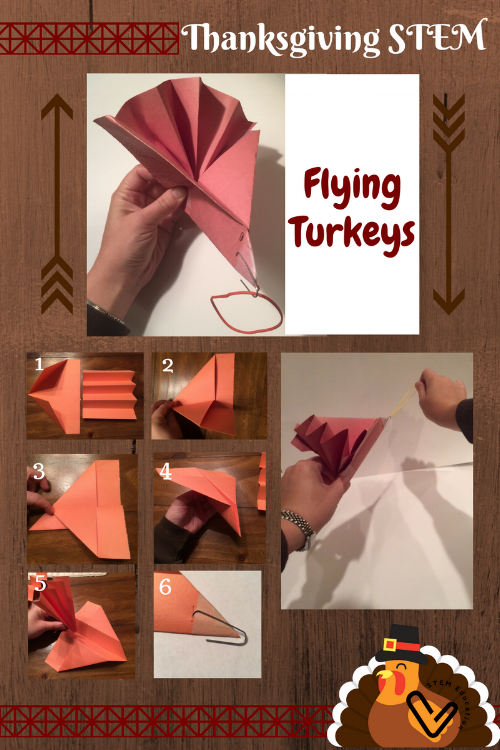 Create a flying turkey to sling into the air! Explore aerodynamics by adjusting your design.