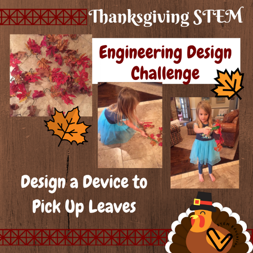 THANKSGIVING FUN - PMASTERSON - S.T.E.M. ENRICHMENT