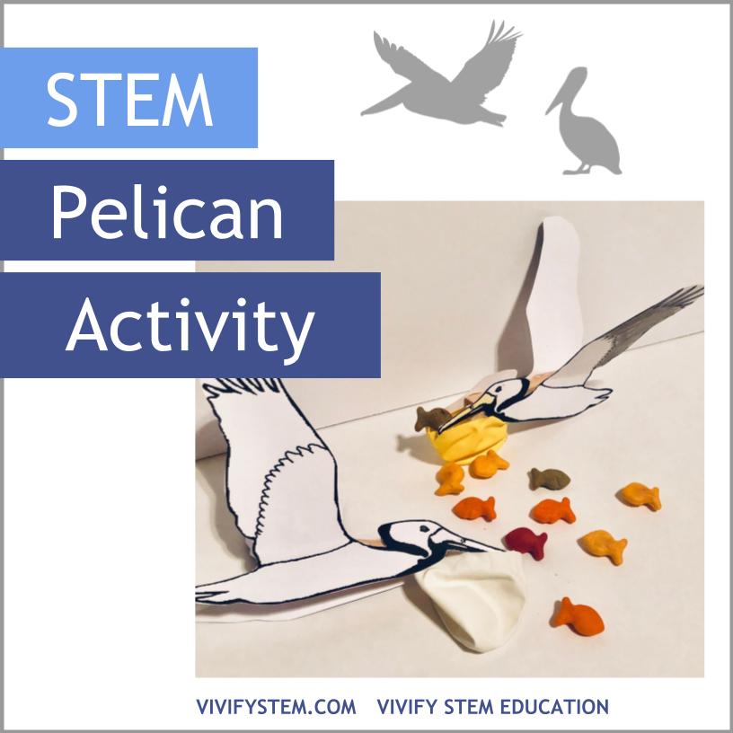STEM Pelican Activity 