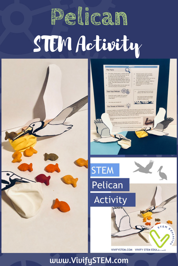 5 Life Science STEM Activities for Elementary — Vivify STEM