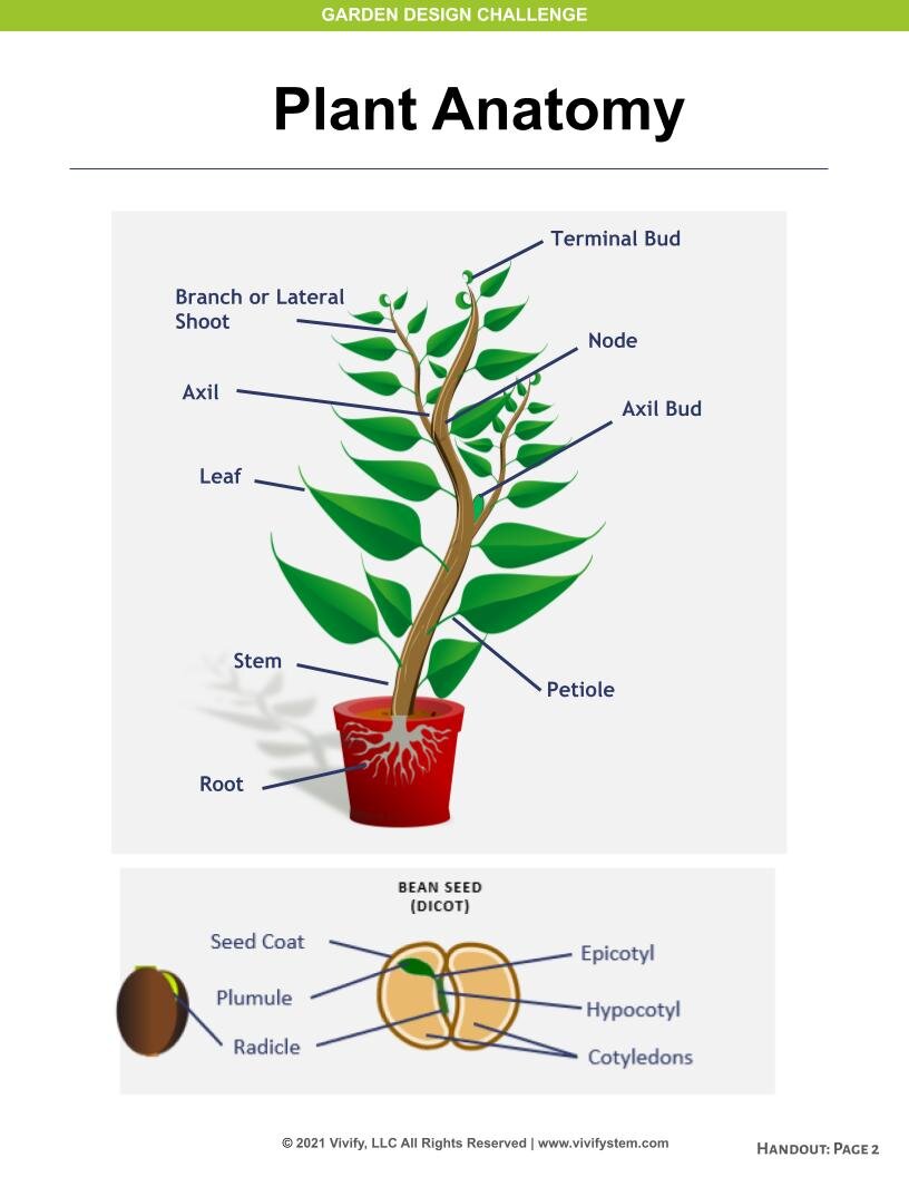 Garden Project Guide (4).jpg