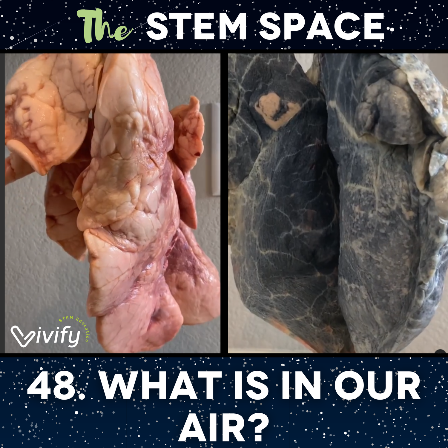 48. What Is In Our Air? episode artwork