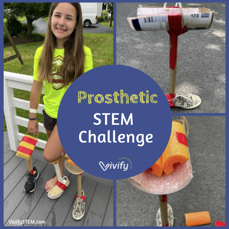 Design a Prosthetic Leg STEM Activity...for Animals! — Vivify STEM