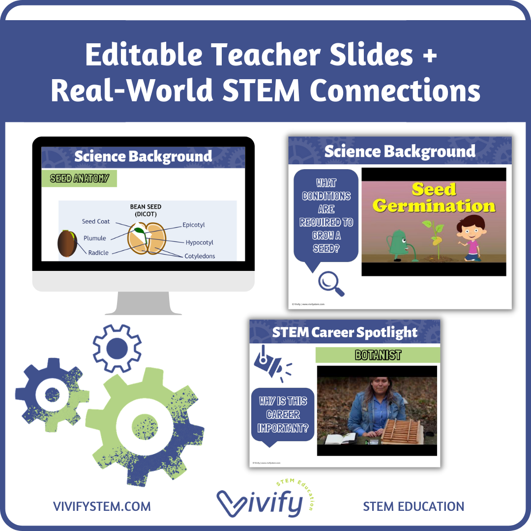 Save the Bees! Pollinator Hotel STEM Challenge — Vivify STEM