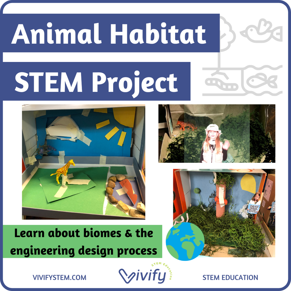 Animal Habitat & Biomes STEM Diorama Engineering Design Project — Vivify  STEM