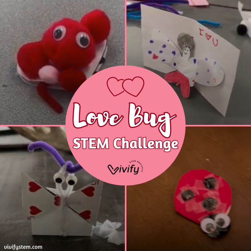 Celebrate Valentine’s Day with the Love Bug STEM Challenge!