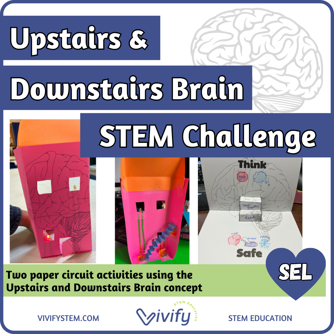 Upstairs Downstairs Brain Paper Circuit SEL STEM Activity