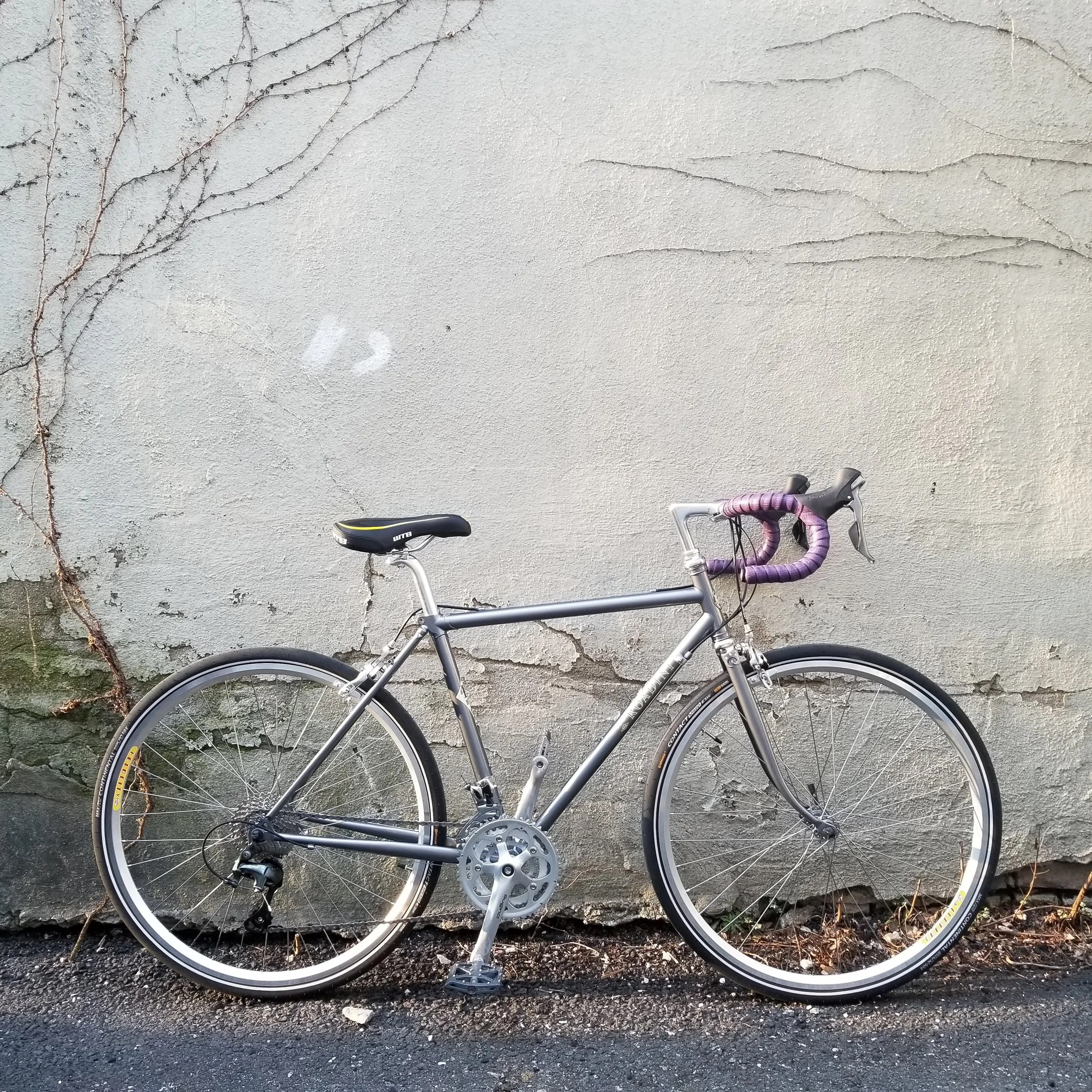 Please ignore tester saddle, Amy is providing her own.