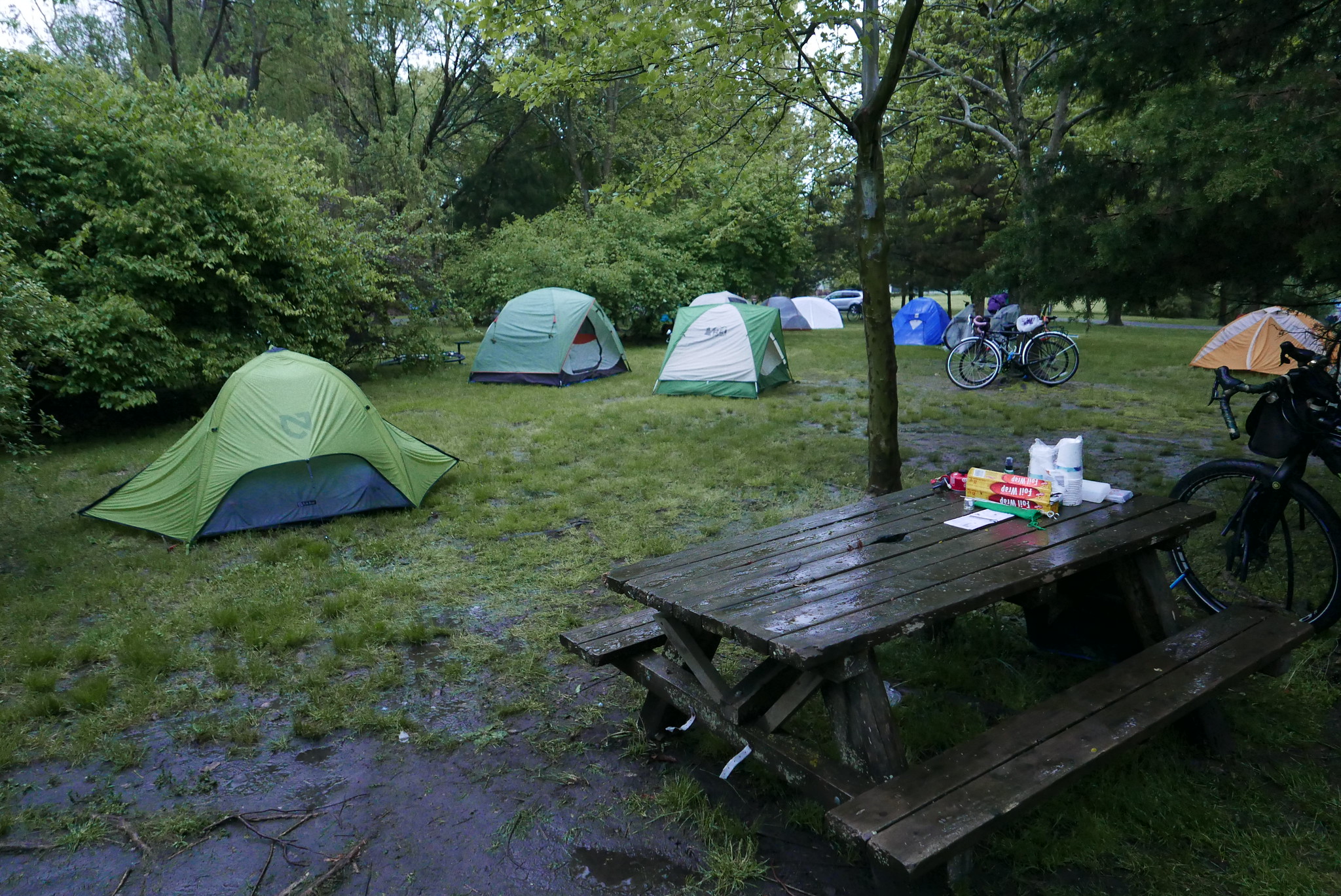 Sunday morning (and all day) proved to be rainy and cold