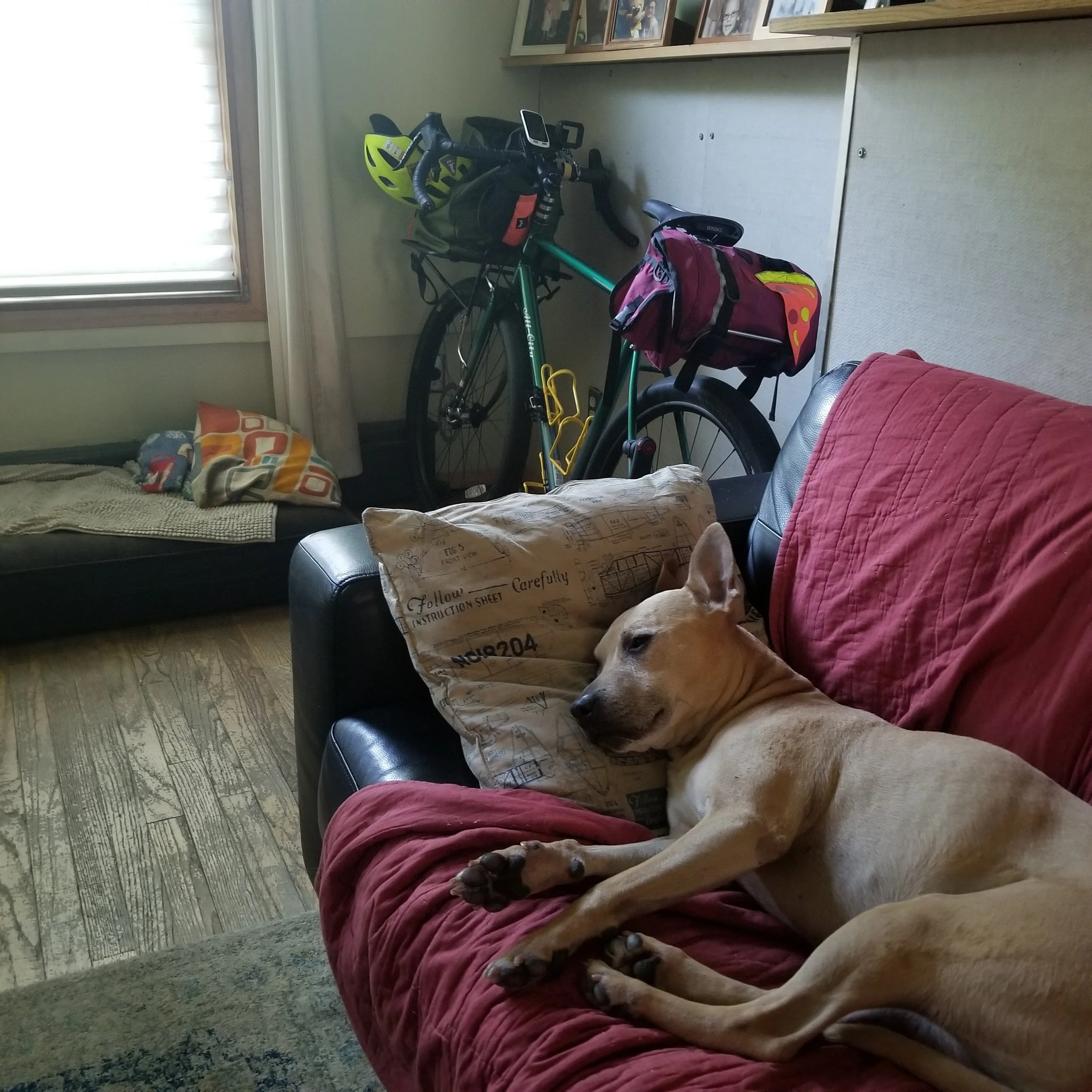 20190630_102638.jpg