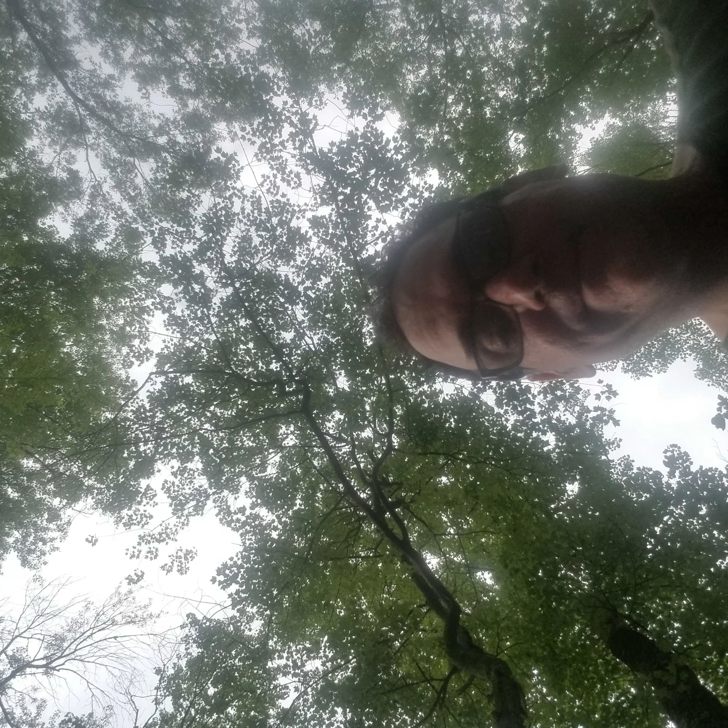 48222526156_1d755d9ed1_o.jpg