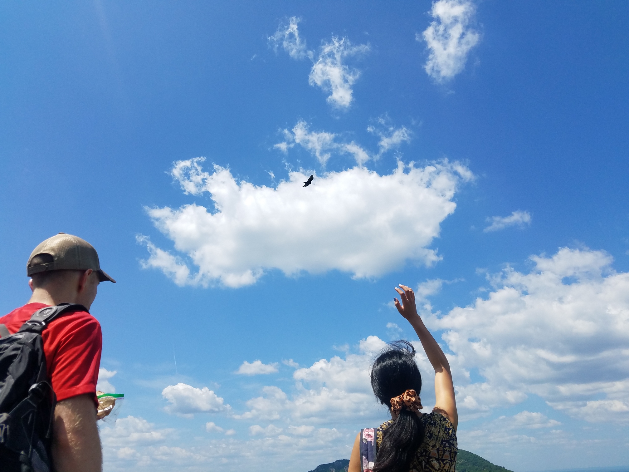 Resized_20190714_120208_5947.jpeg