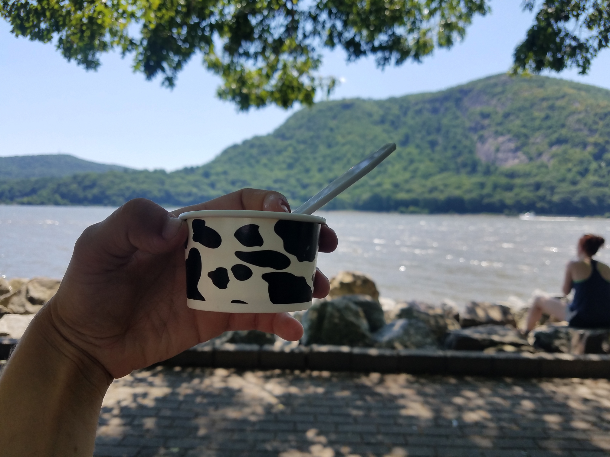 Resized_20190714_141904_4362.jpeg