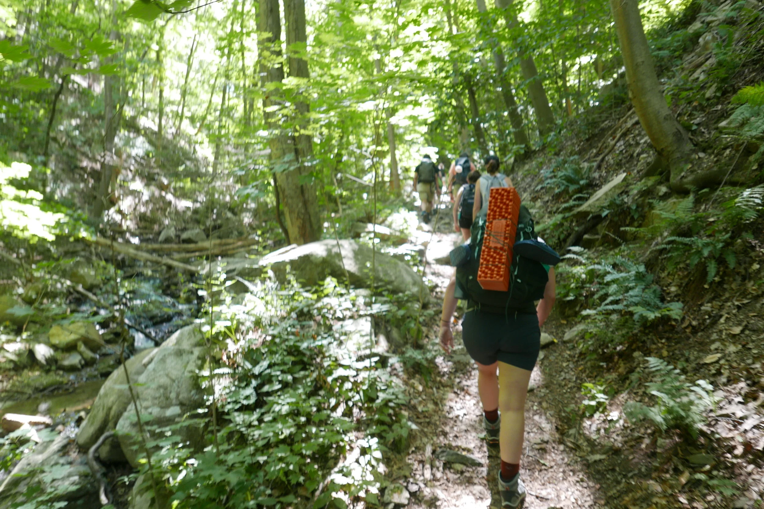 Hike beginning