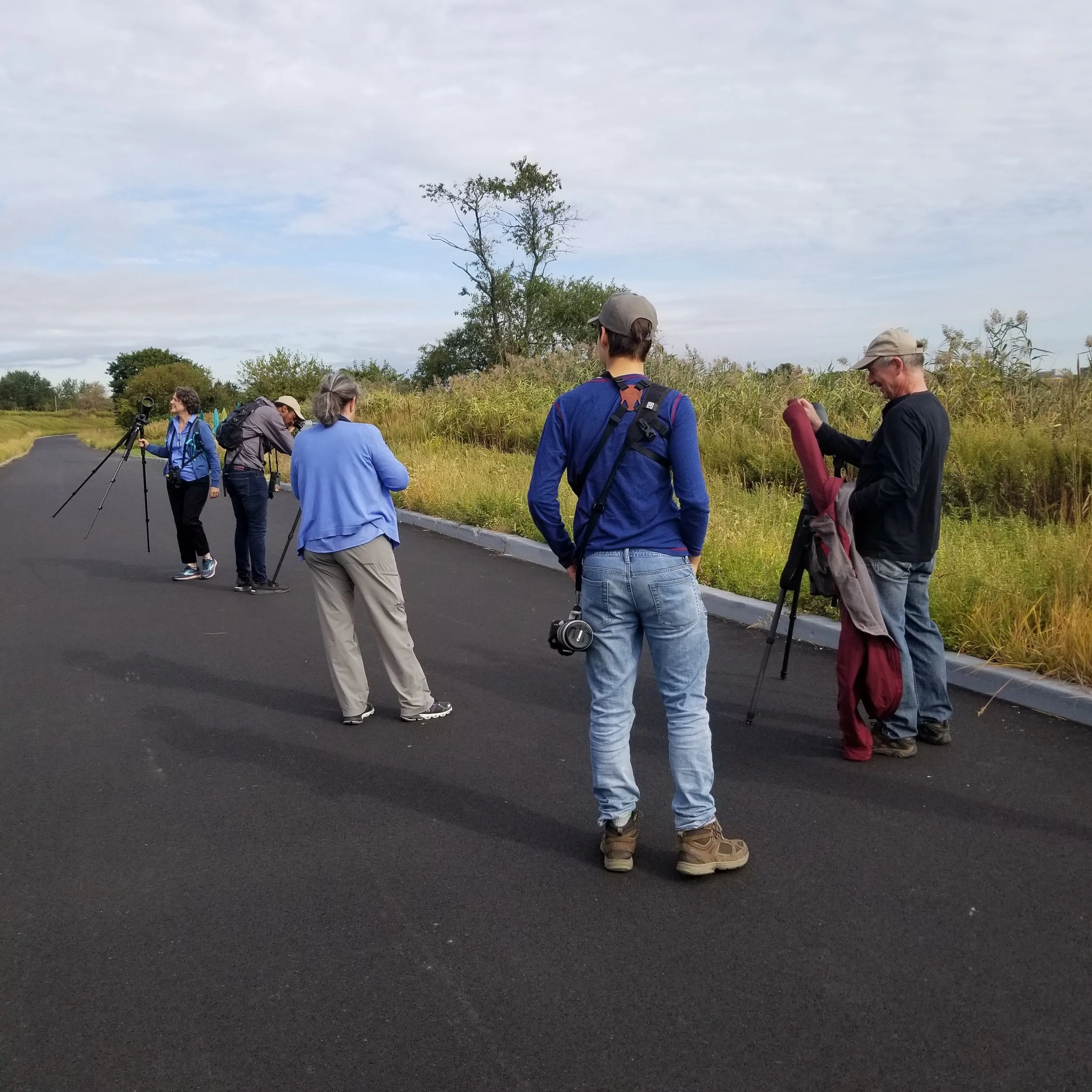 Birders along Hendrix Creek