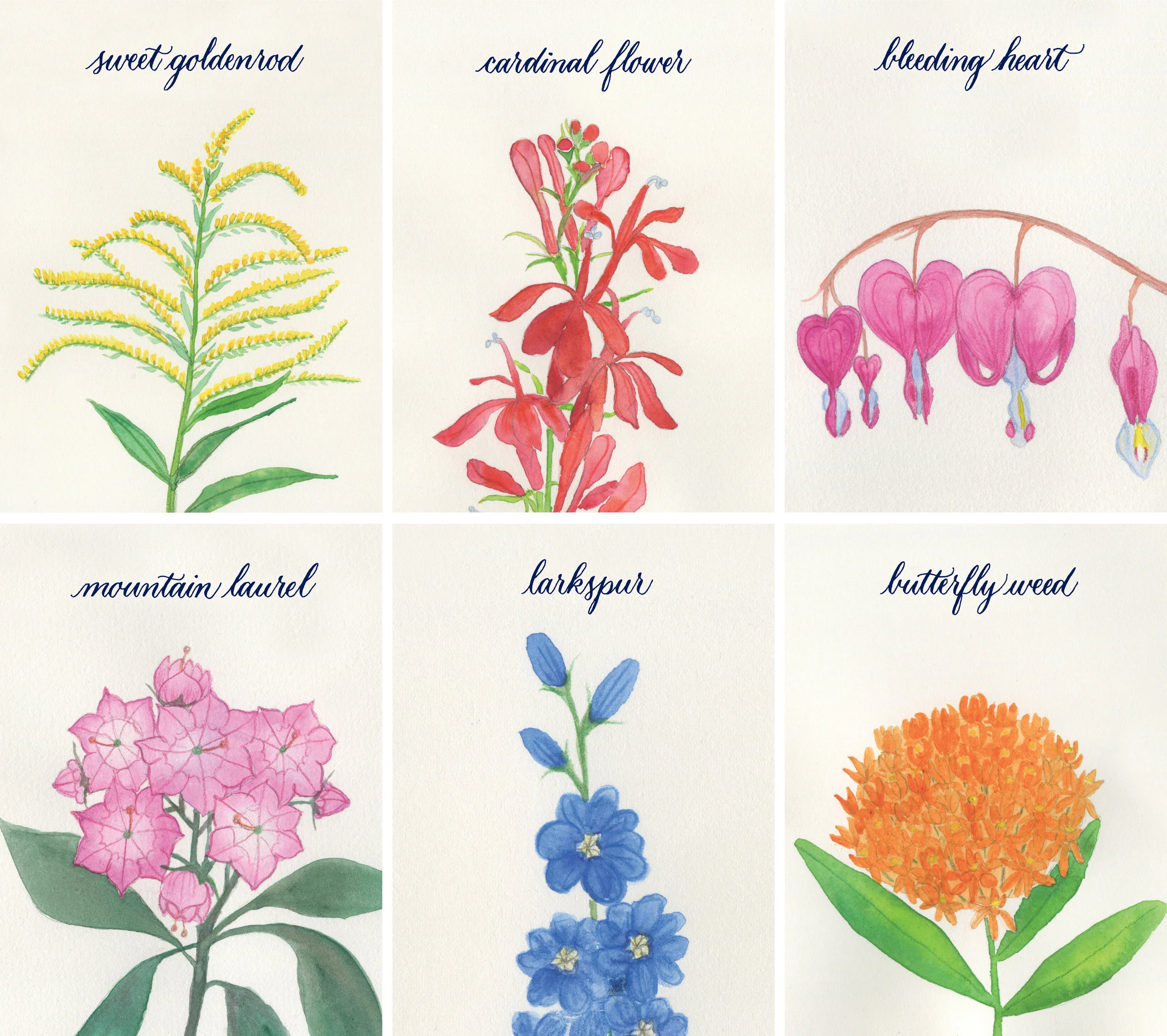 Table numbers: watercolor, Prismacolor pencils and calligraphy