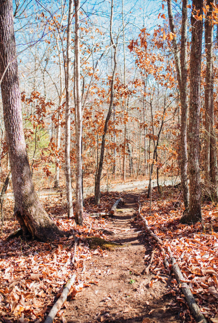 RisingSunRetreat-WalkingTrail.png