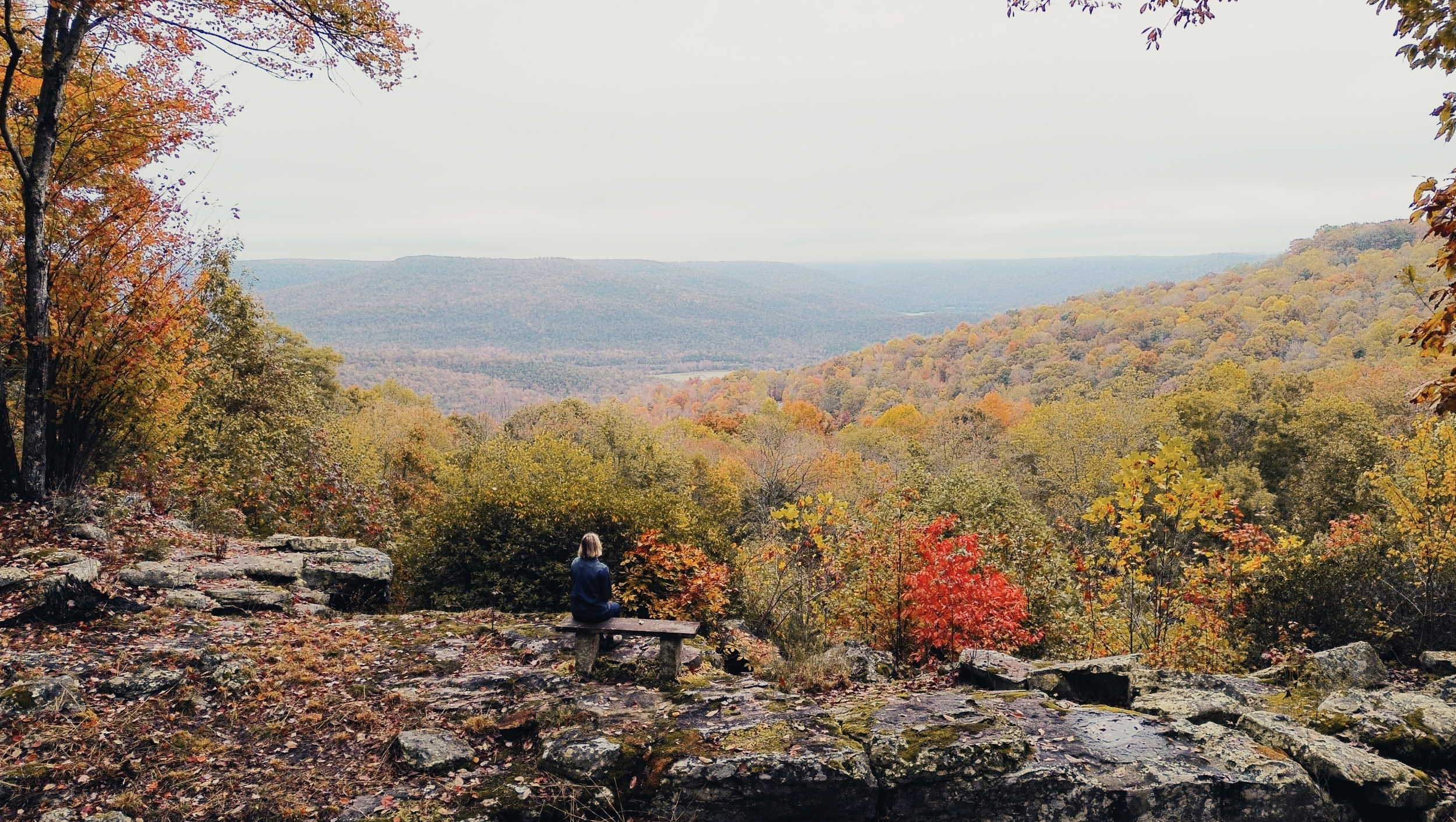 Rising Sun Retreat in Sewanee, TN overlooking the Cumberland Plateau.