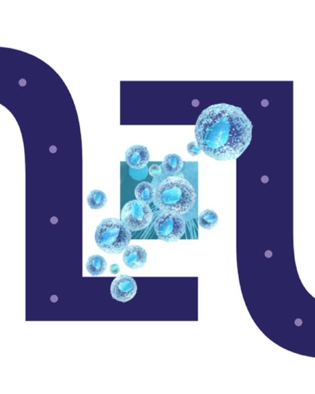 Normunity_FINAL_Lgo_web.png