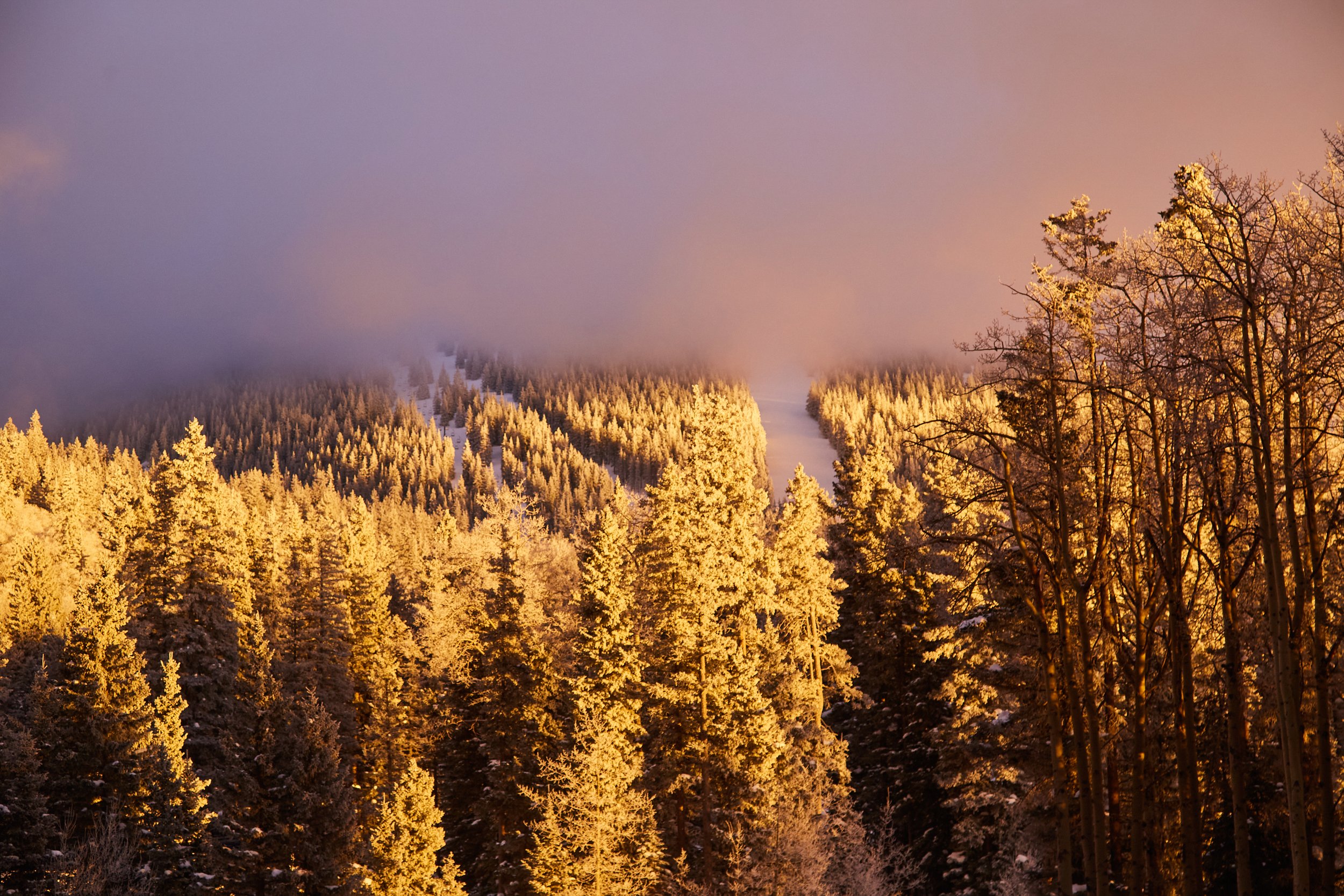 012024_skisantafe_150.jpg
