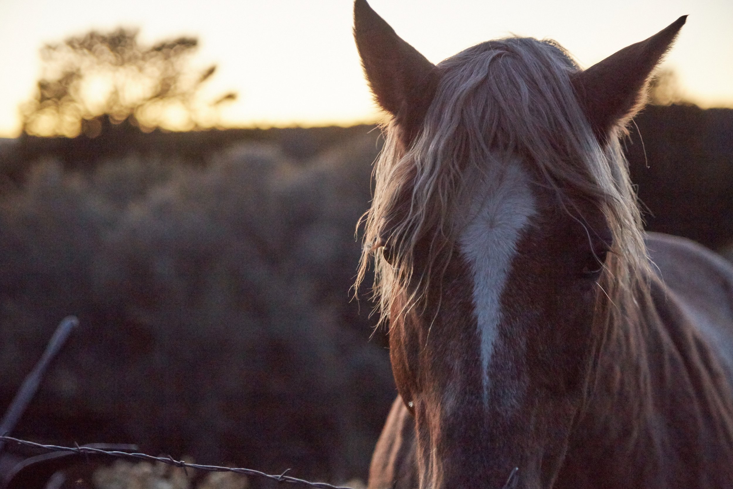 171016_yarmony_ranch_108.jpg