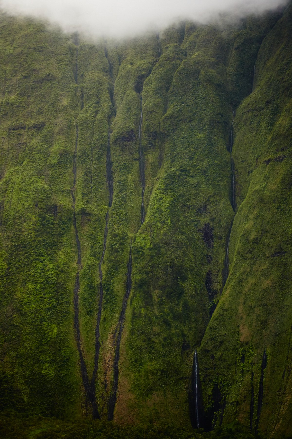 170817_hawaii_1123.jpg