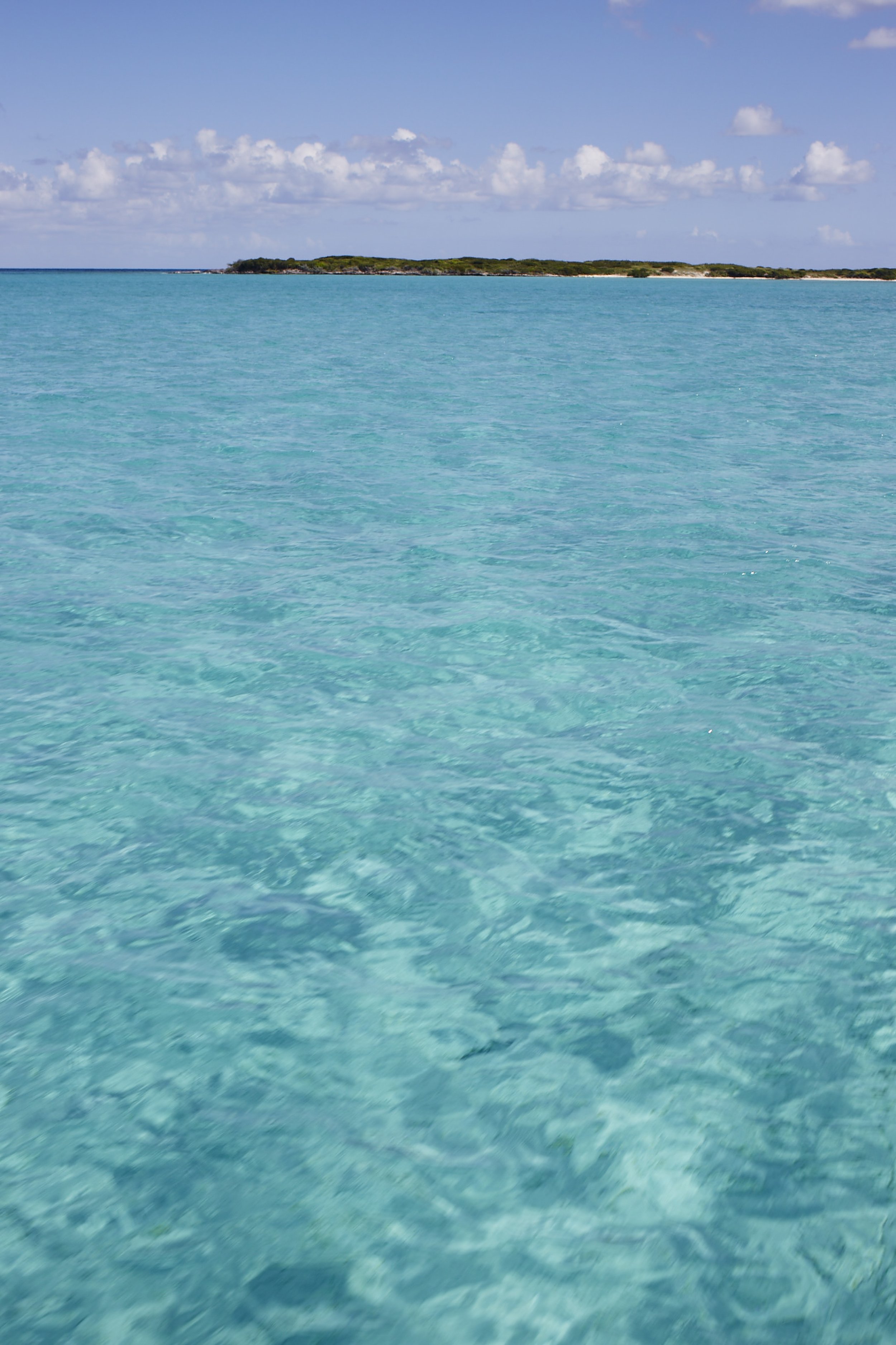Exumas_VSD Swim_341.jpg