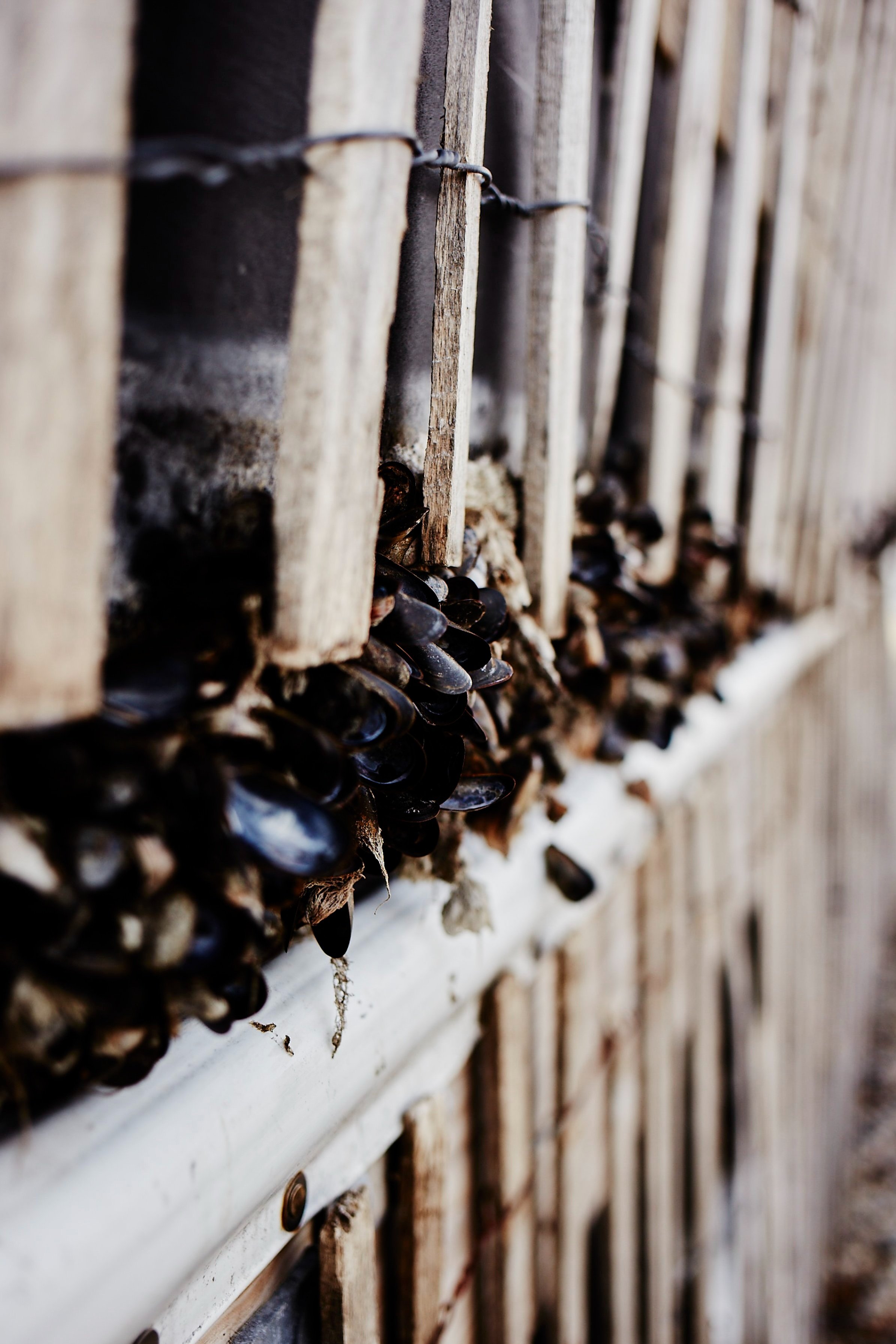 160305_breakwall_point_174.jpg