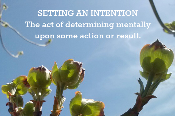 Hypnotherapy in Ridgefield, Mt. Kisco & Westport from Tesa Baum can help you set your intentions!