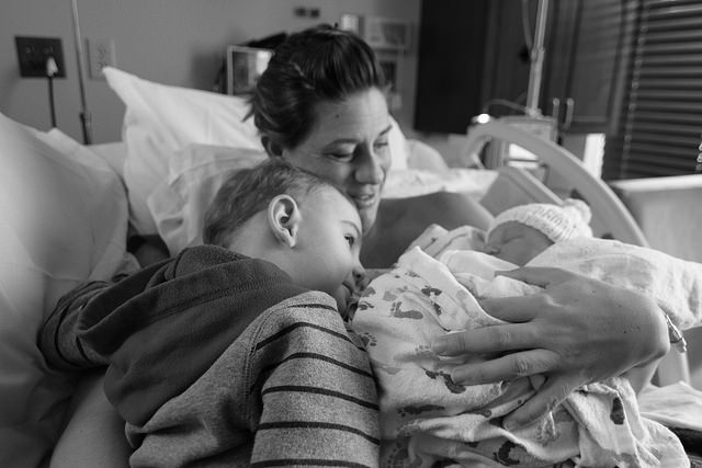 Caesar Twisty McSpinnington, Sis, and Sebastian Winthrop, on the morning of the latter's arrival