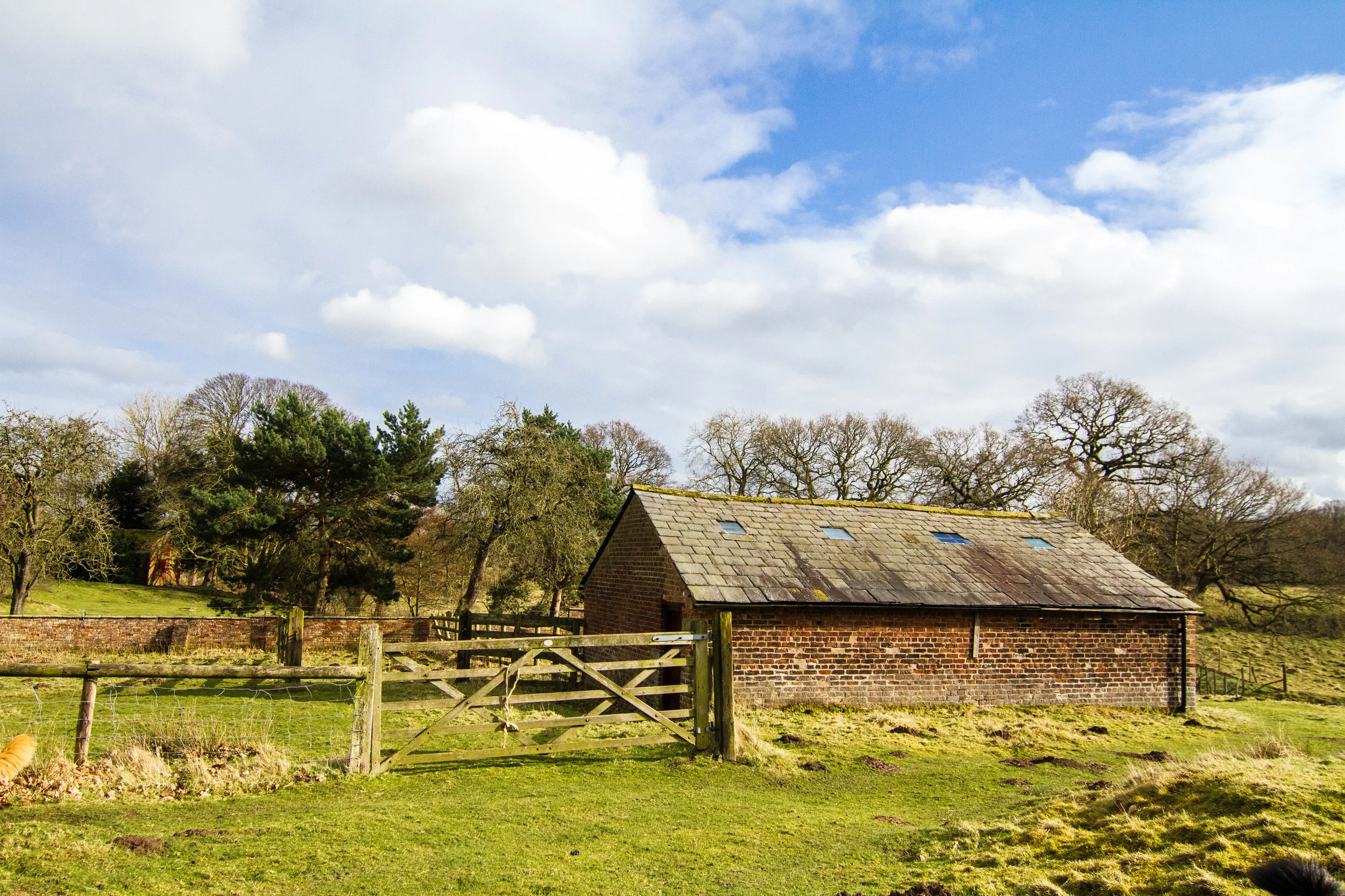 Barn