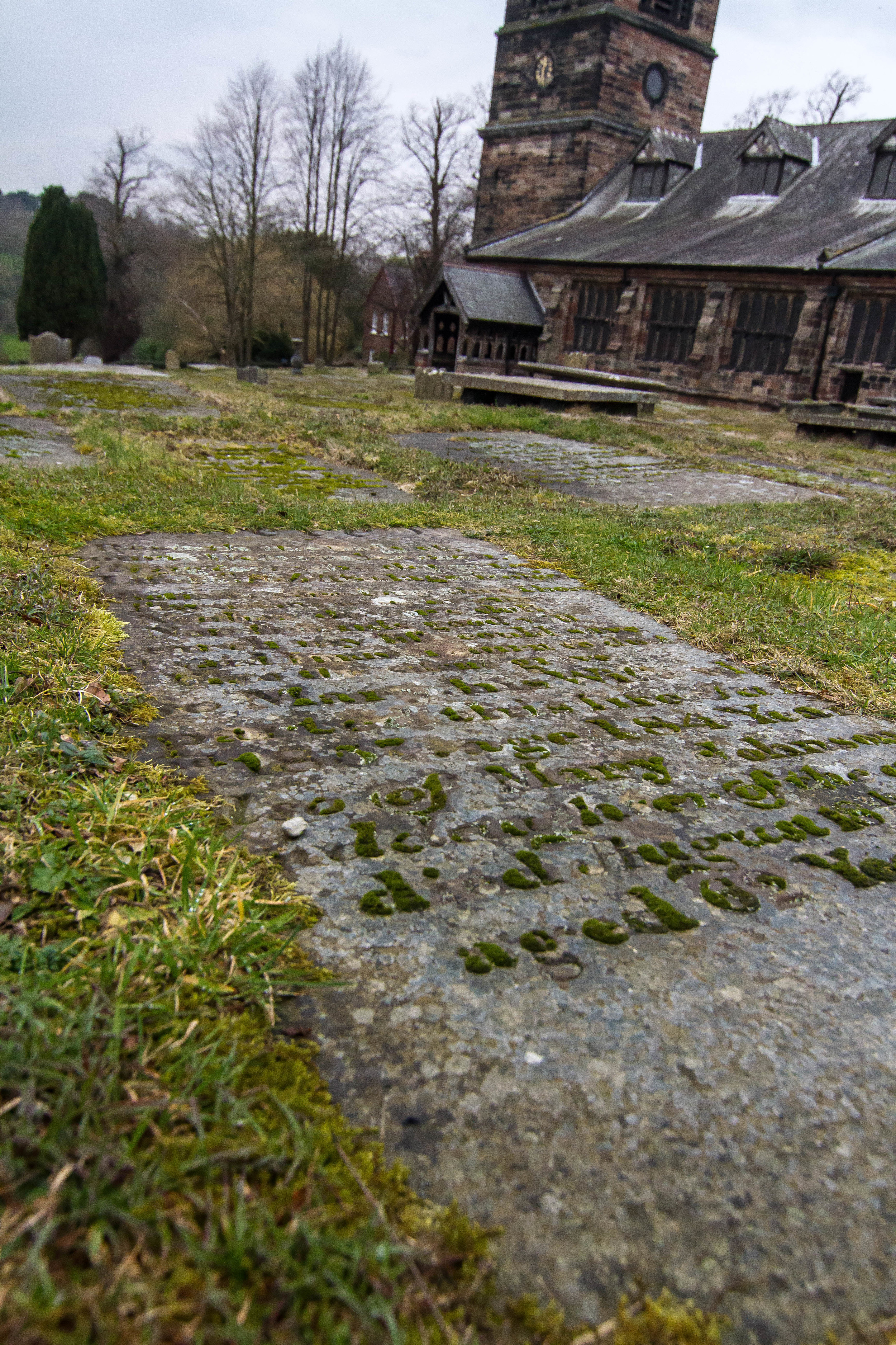 Mossy Letters