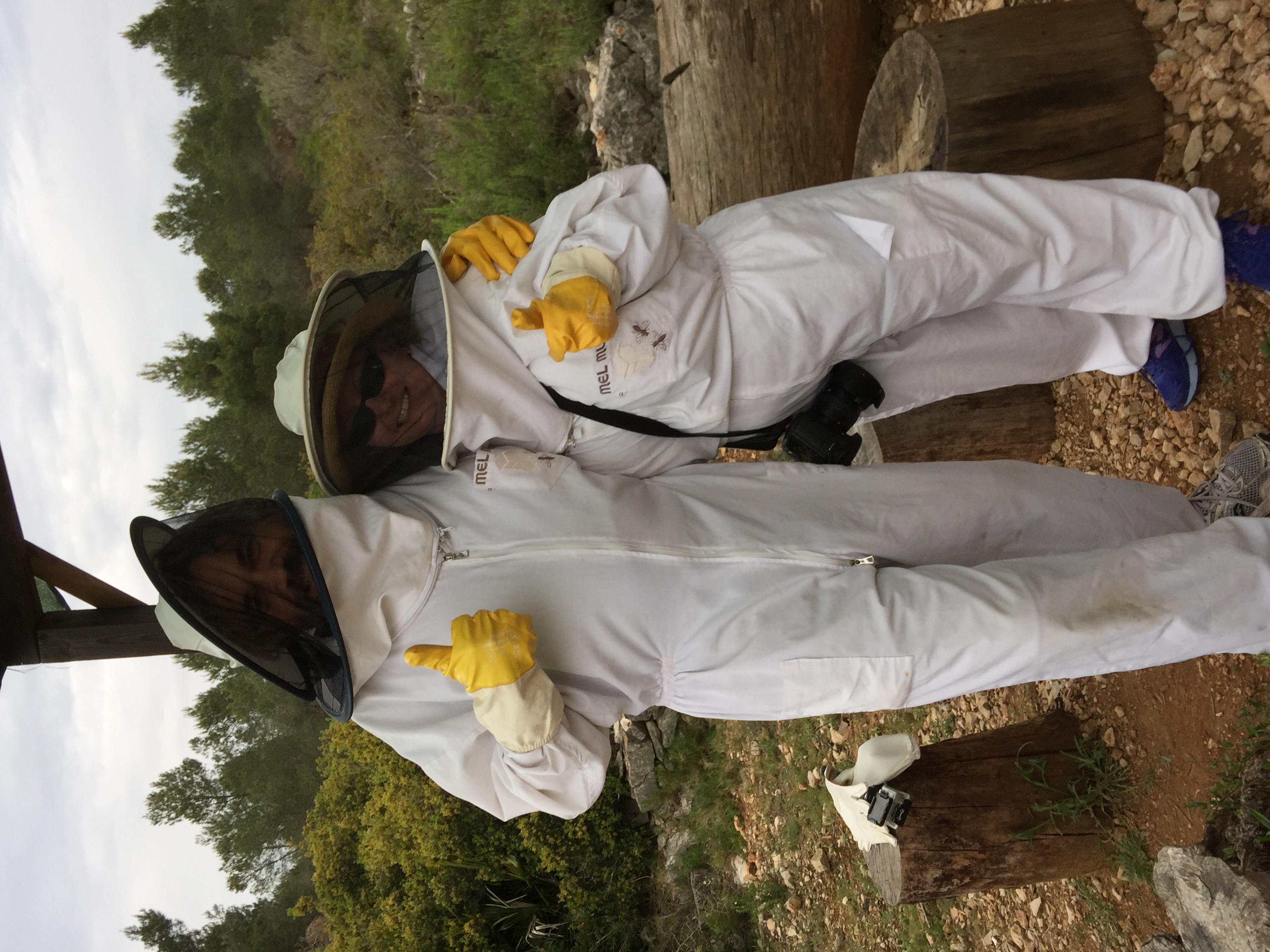 What's worse than being surrounded by angry bees? First finding out you probably don't have a hotel room in Barcelona, and then hanging out with angry bees. True story.