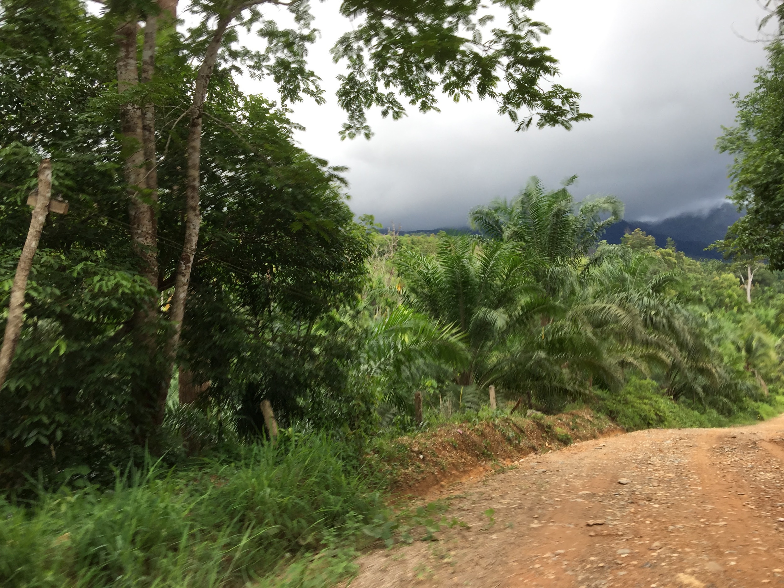 Not quite what we'd consider a "highway", but...