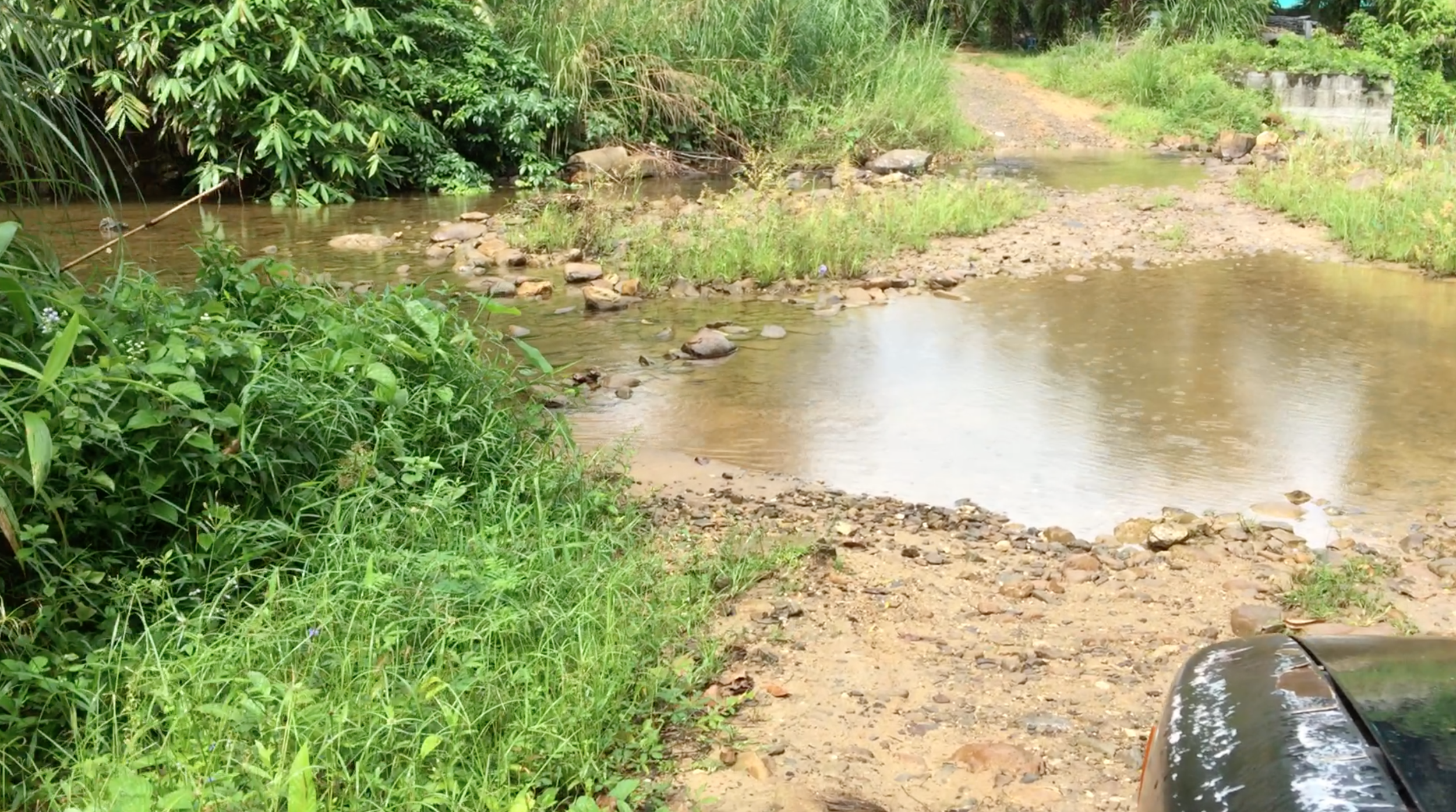 In the jungle, water crossings are the least of your worries.