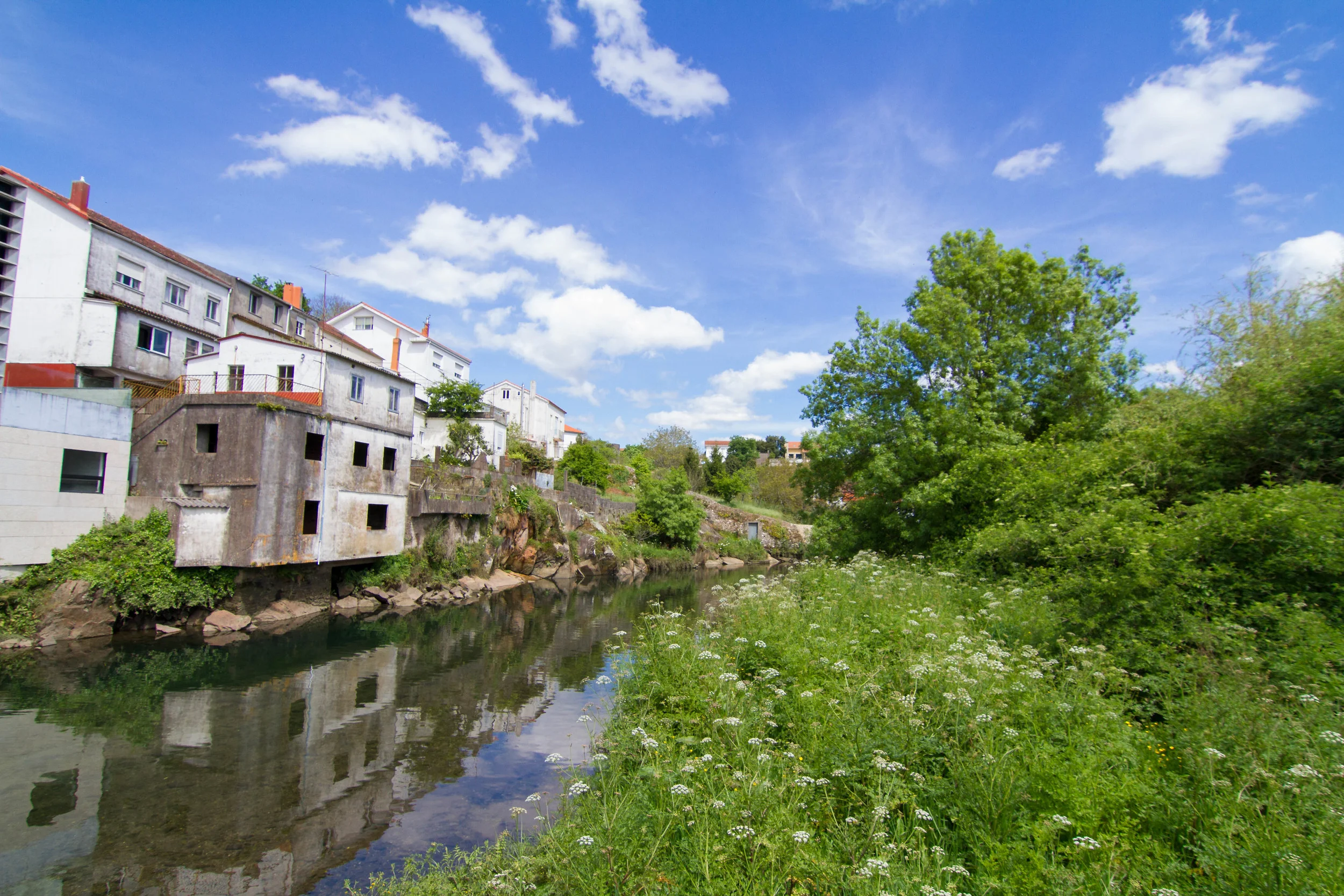 Reflections On The River