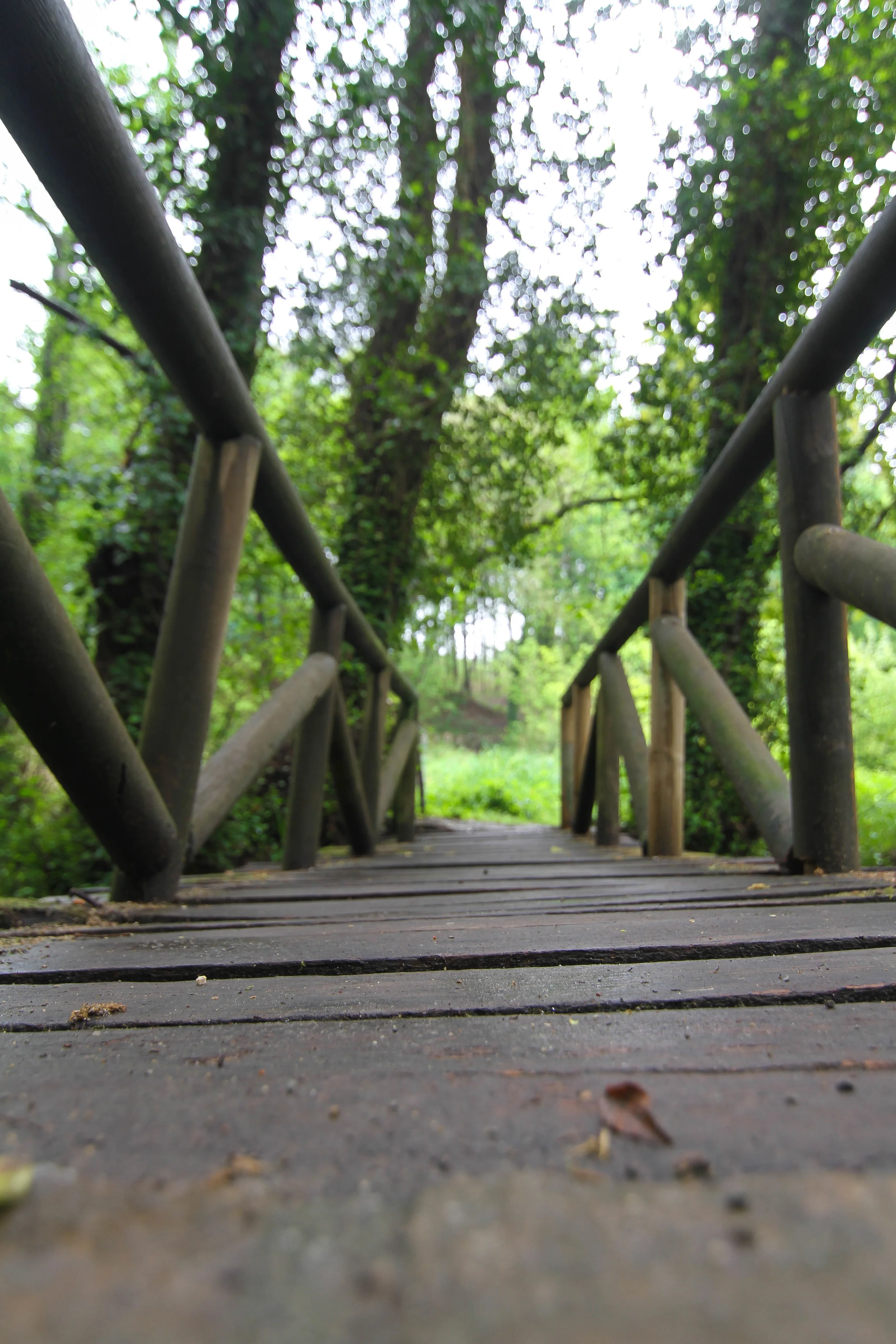 Beautiful Walk