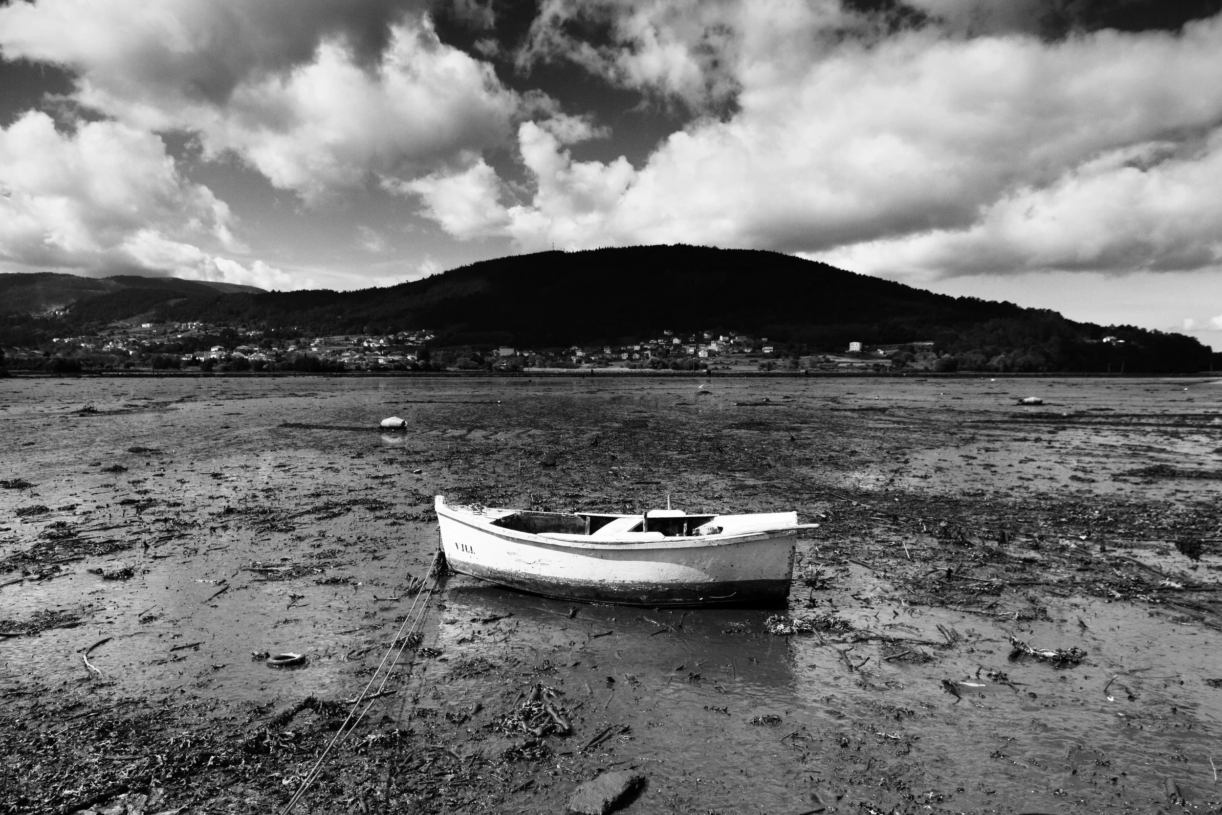 Low Tide