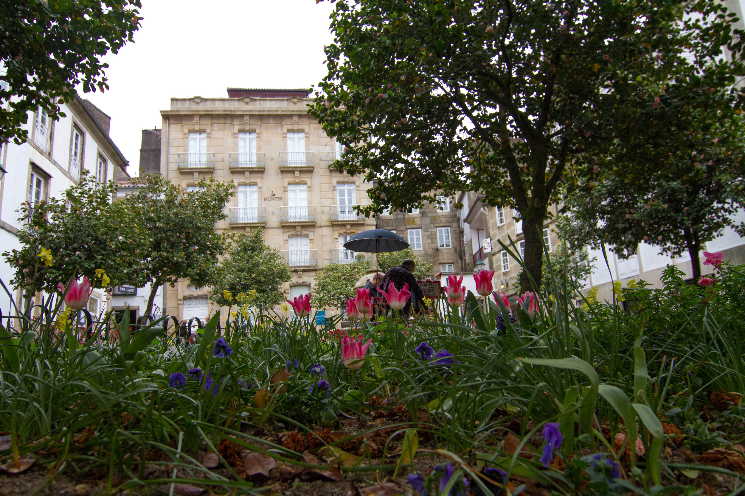 Flowers Are The Street Vendors Shield