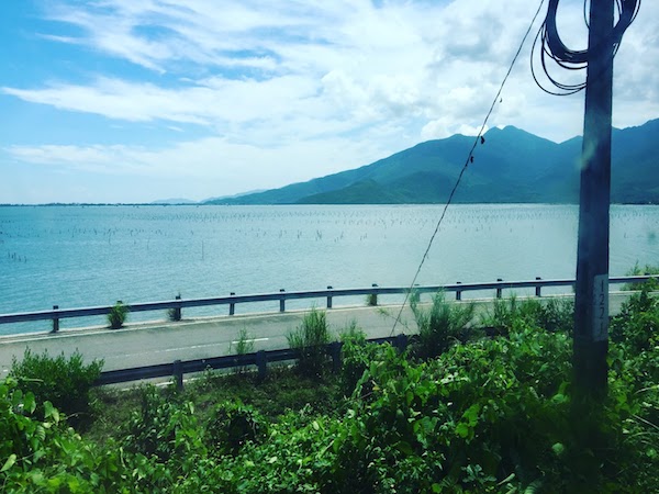 View from the train. But those power lines...