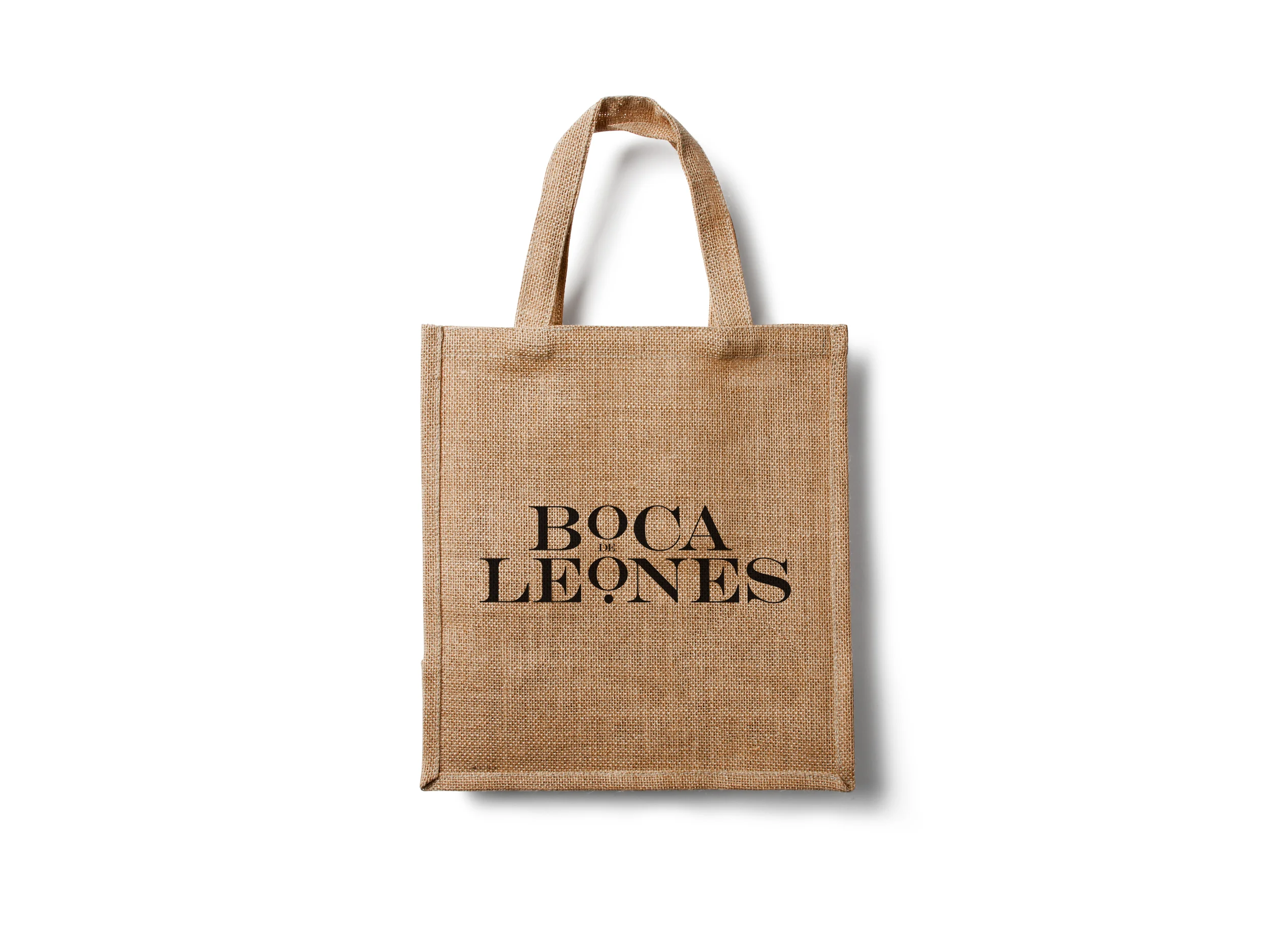 BOCAIcono.jpg