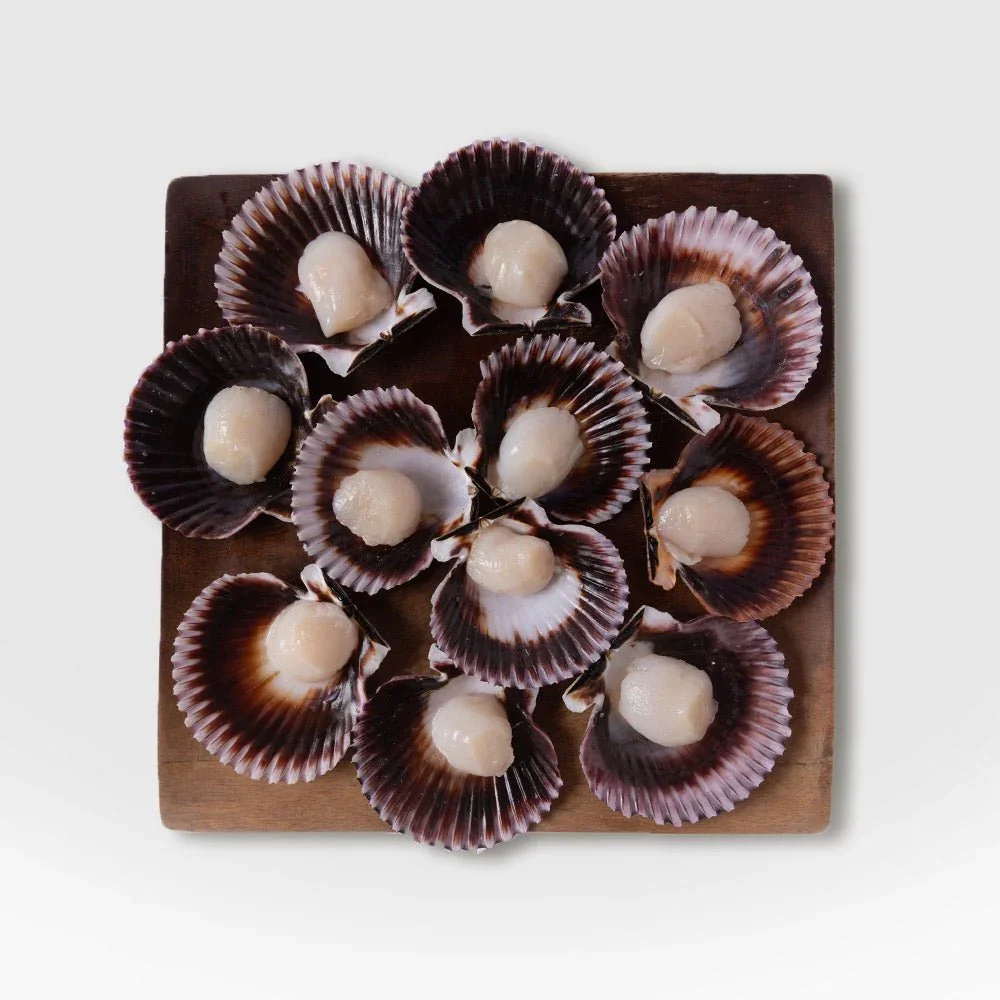 fish-shell-variety-box-336538.jpg.webp